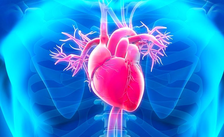 Rreziku Që i Kanoset Shëndetit të Zemrës nga Niveli i Lartë i Kaliumit