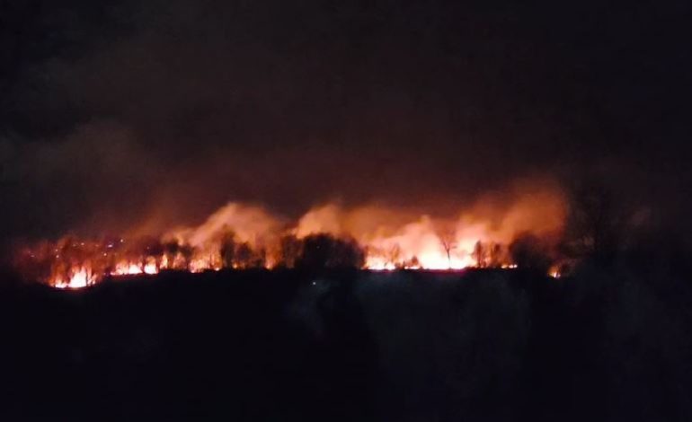 Zjarr i madh në Fier, rrezikohen disa banesa/ Në vendngjarje ndodhen tre mjete zjarrfikëse