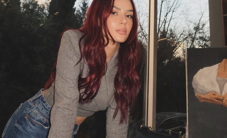 Si asnjëherë më parë! Ja ku do e shohim së shpejti Bora Zemanin