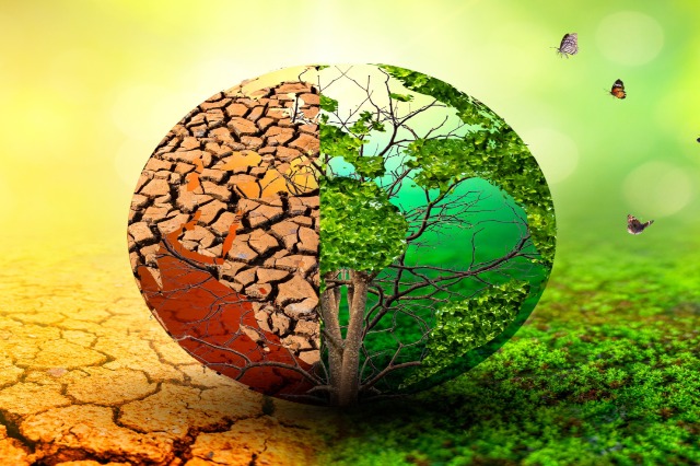 Fakte rreth ndryshimeve klimatike