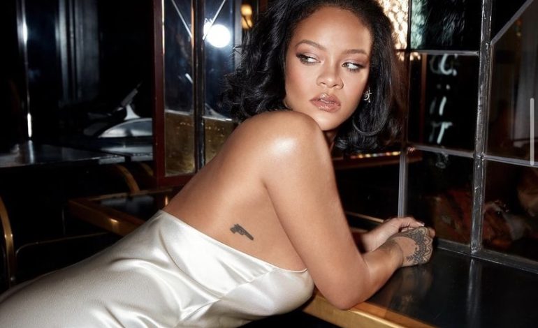 E mahnitshme! Rihanna performon në një dasmë private indiane