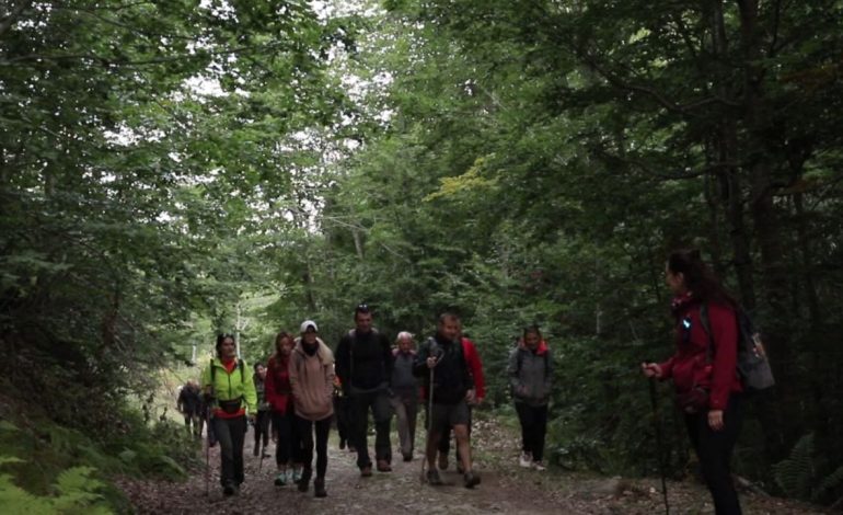 Turistët sollën 4 miliardë euro! Banka e Shqipërisë tregon shifrat financiare të vitit 2023