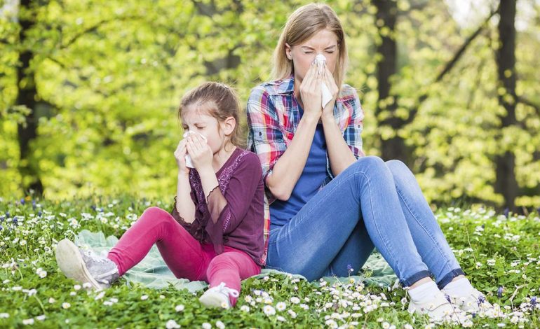 Pranvera Vjen me Alergji e Sëmundje – Çfarë i Ndodh Trupit