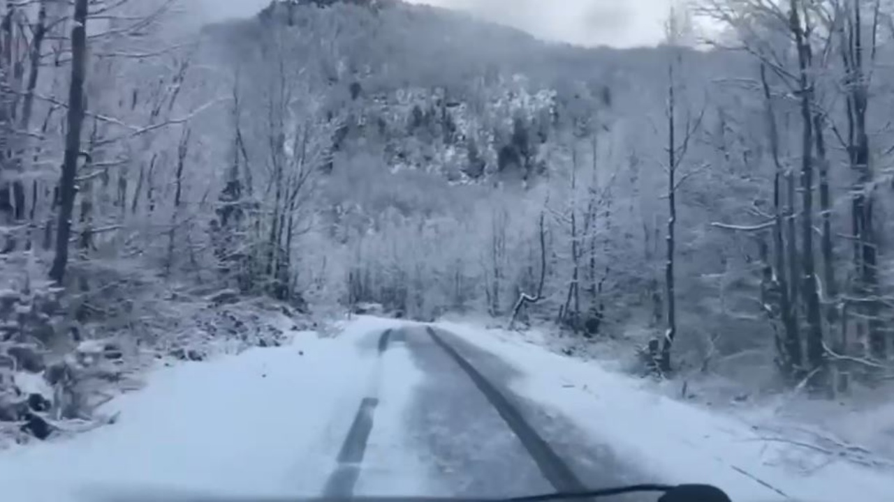 Qarku i Shkodrës mbulohet nga bora! Borëpastrueset në terren për të siguruar qarkullim në aksin Bogë-Theth