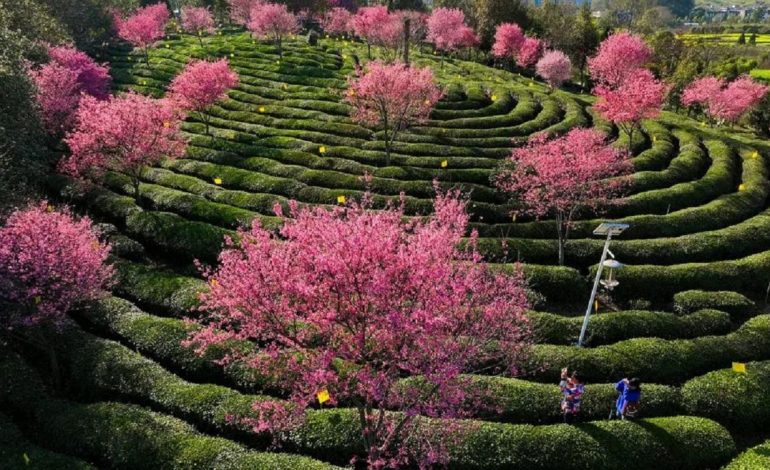 Ekuinoksi pranveror! Shenjat që do përballen me ndryshime të mëdha