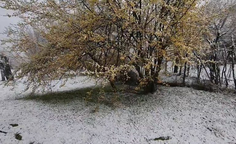 Borë në pranverë! Zbardhet Bulqiza, drejtuesit e automjeteve duhet të kalojnë me zinxhirë