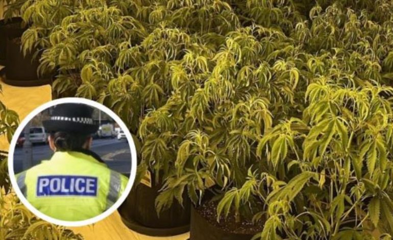 Gjashtë shqiptarë lidhen me gjetjen e një sasie të madhe droge në Skoci! Raporit i policisë: Po rritet rreziku i…