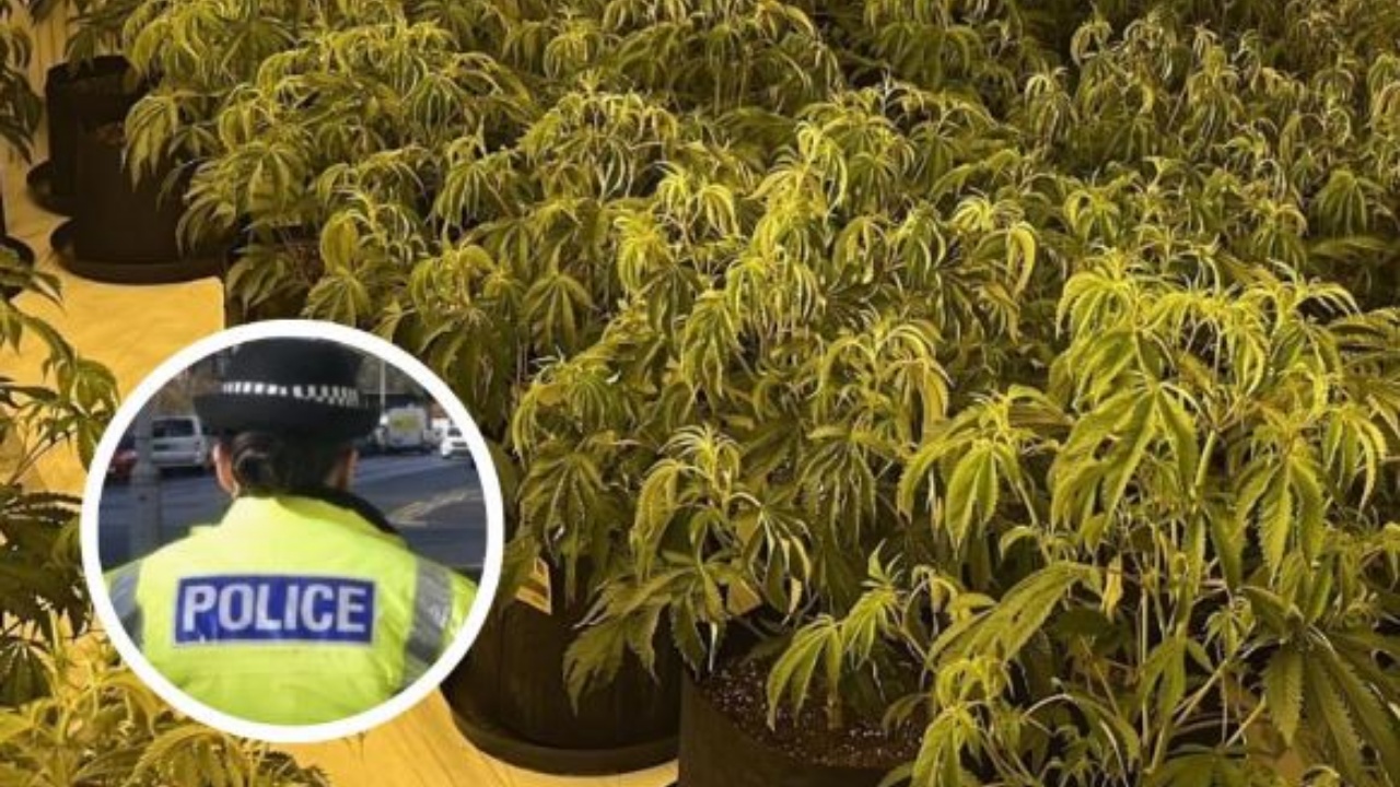 Gjashtë shqiptarë lidhen me gjetjen e një sasie të madhe droge në Skoci! Raporit i policisë: Po rritet rreziku i…