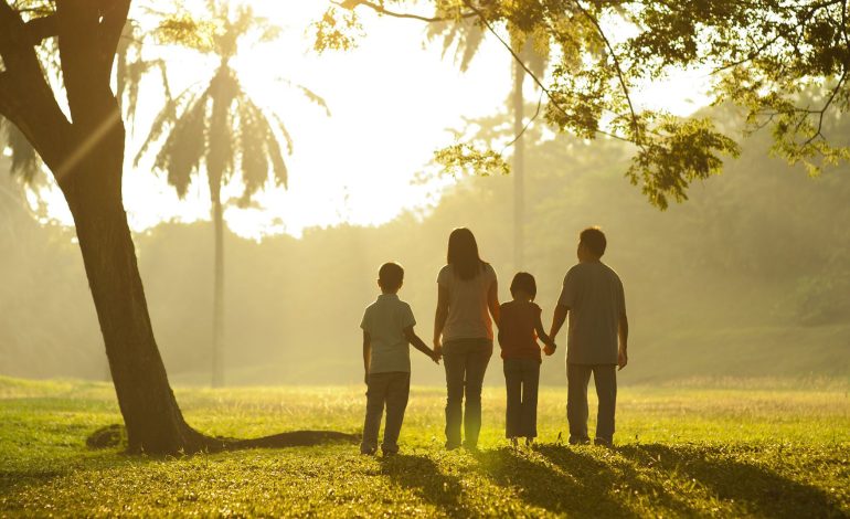 Shëtitja në Natyrë – Efektet në Trurin e Njeriut