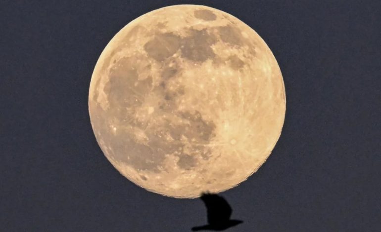 “Hëna e Krimbit”/ Dita e parë e javës në “pushtetin” e hënës vezulluese, pamje spektakolare