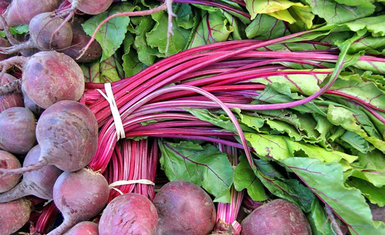 Gjethet e Panxharit – Të Gjelbrat më të Shëndetshme