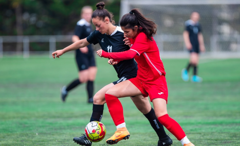 “Abissnet Superiore” për vajza/ Përfundon java e 14-të, fitojnë Partizani, Tirana, Vllaznia, Apolonia e Laçi