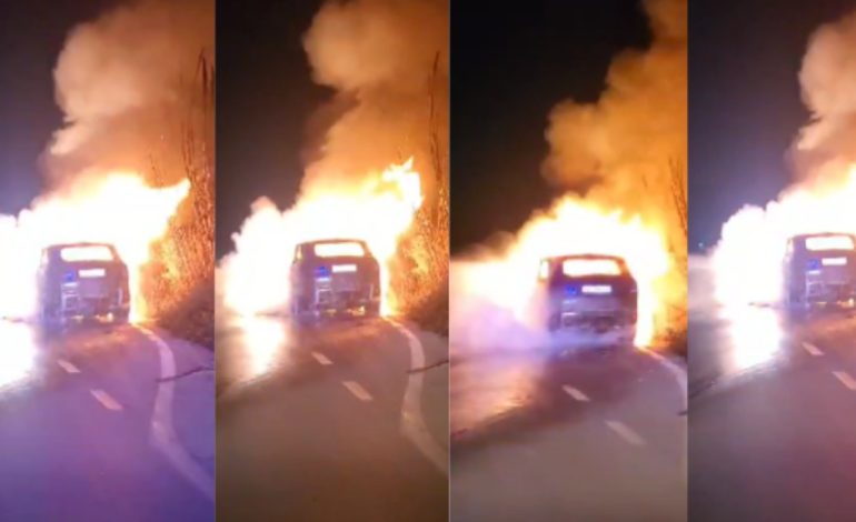 LAJMI I FUNDIT/ Përfshihet nga flakët një mjet në rrugën Fier-Seman 
 02/03/2024 19:12