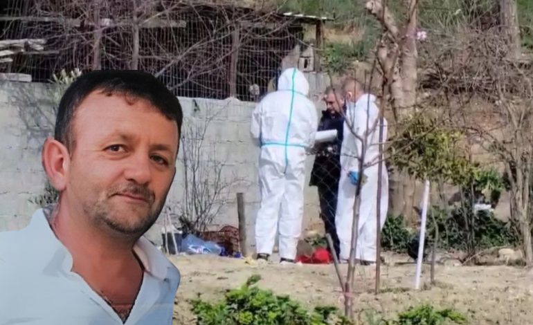 “Vranë të atin në Shënavlash dhe kanë një ndjenjë trumfalizmi”, eksperti: Djali i madh të hetohet për… Vajza nuk do shkruante poezitë e Naim Frashërit