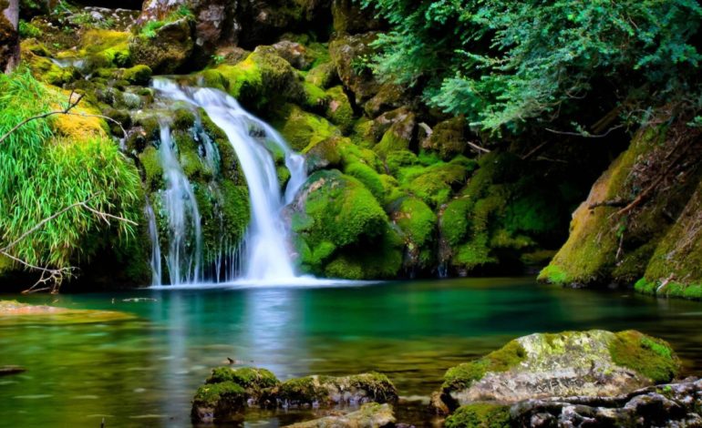 Studimi i Ri – Tingujt që Përmirsojnë Gjendjen Tuaj Shpirtërore