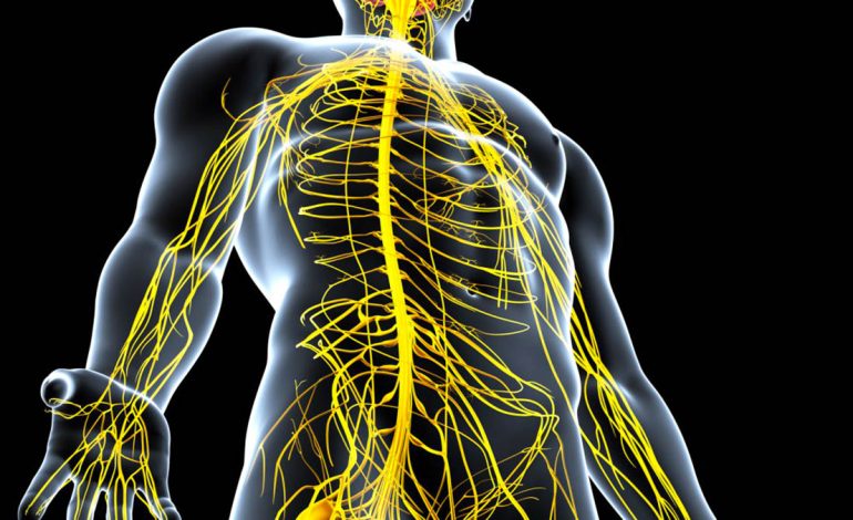 Dëmtimi i Nervave – Tetë Shenjat që Nuk Duhen Neglizhuar
