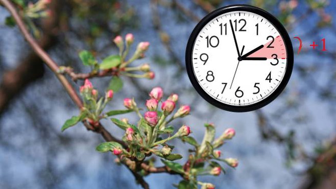 Nesër ndryshon ora, a do të flemë më pak apo më shumë?