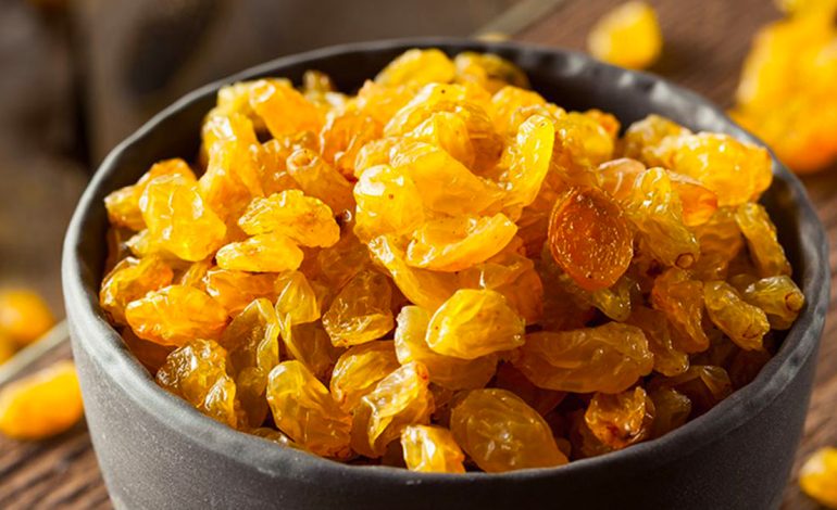 Rrushi i Thatë – Vlerat Speciale për Shëndetin e të Gjithëve