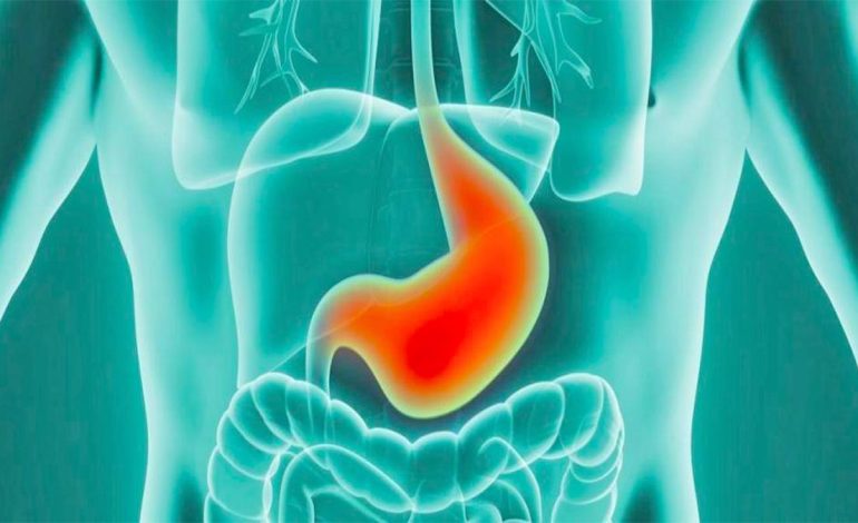 Çfarë i Ndodh Metabolizmit kur Hani pas Orës Tetë në Darkë