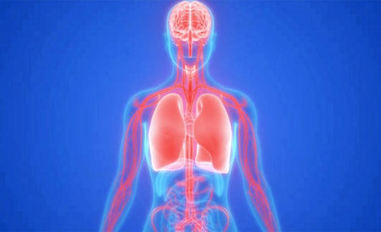 Si të Kuptoni Nëse Vuani nga Mungesa e Magnezit – Shenjat që Jep Trupi