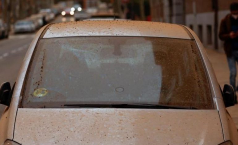 Pluhuri afrikan krijon një përzierje toksike shumë të rrezikshme për njeriun! Kush rrezikon më shumë dhe çfarë duhet të bëni