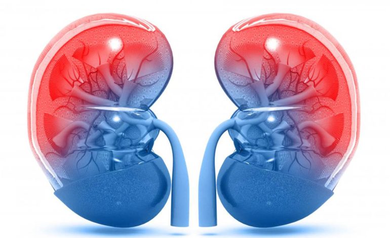 Informacione Bazë që Duhet t’i Dini për Dhimbjet e Veshkave