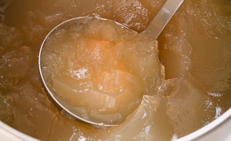 Përfitimet Shëndetësore nga Xhelatina – Proteina që Rigjallëron Organizmin