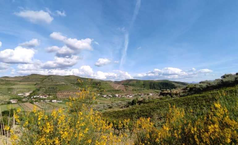 Mot me kthjellime dhe kushte të qëndrueshme atmosferike! Si do jenë temperaturat për këtë të premte