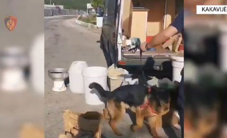 Kontrolli i makinës në Kakavijë, sekuestrohen 15 lingota floriri dhe shuma të majme parash, policia jep detajet