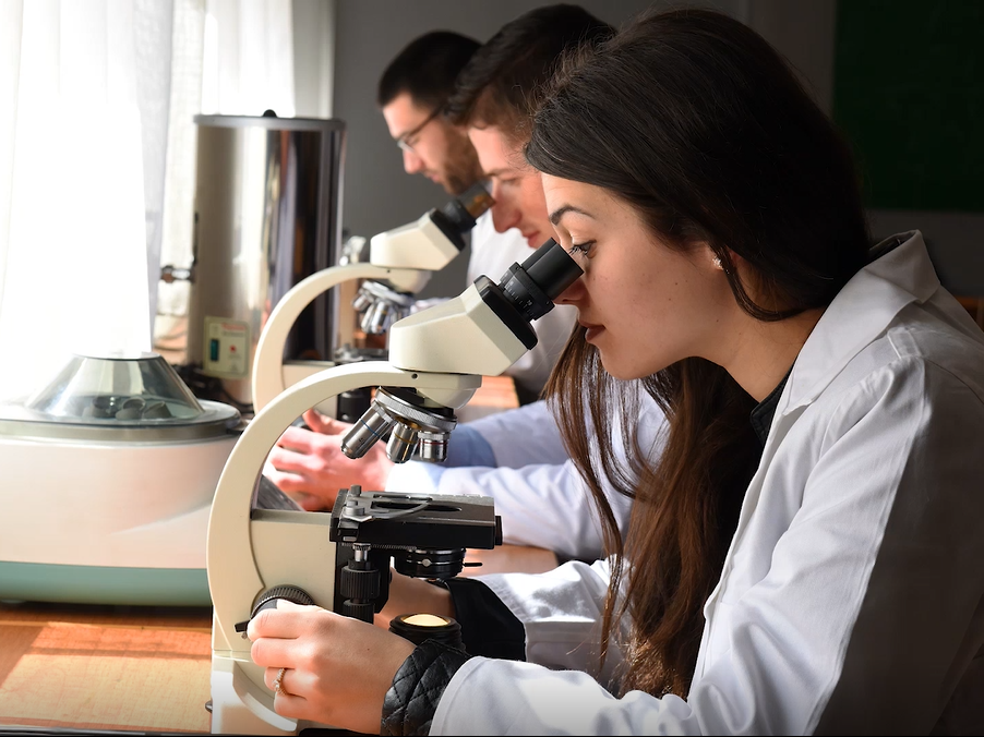 Kërkimi shkencor në krizë i shtyn studiuesit e rinj jashtë Shqipërisë
