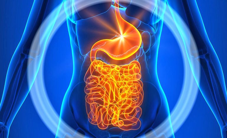 Pozicioni i Duhur i Gjumit për një Tretje të Mirë