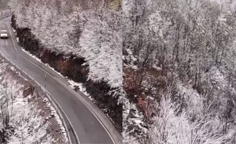 VIDEO/ Dëbora e prillit mbulon lulet e pranverës, Rama publikon pamjet magjike nga Parku Kombëtar i Alpeve