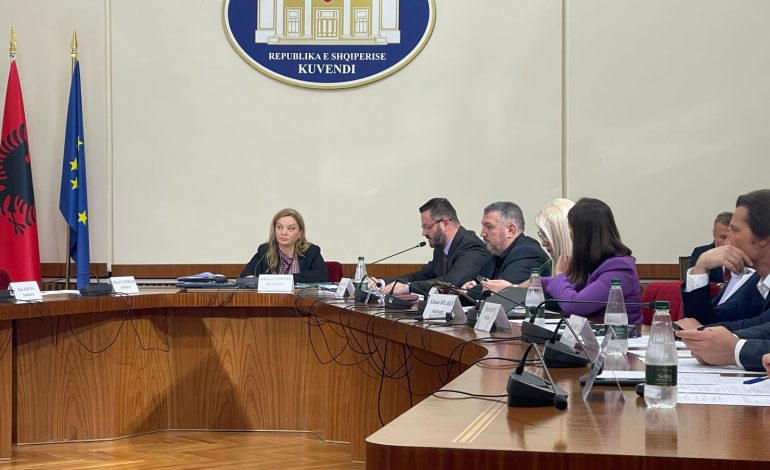 Komisioni i Shëndetësisë/ “Ku është ‘dhoma e rrëfimit’?” Korreshi me batuta, Koçi kërkon “uljen e gjakrave”: Të mos e bëjmë si hetim penal!