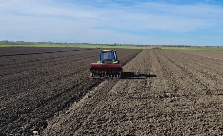 Tkurret bujqësia! Është sektori që punëson 1/3 e vendit, sipas Bankës Botërore duhen më shumë subvencione