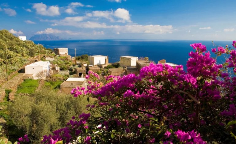 Ishulli italian i pushtuar nga dhitë, i ofron falas për këdo që mund t’i kapë