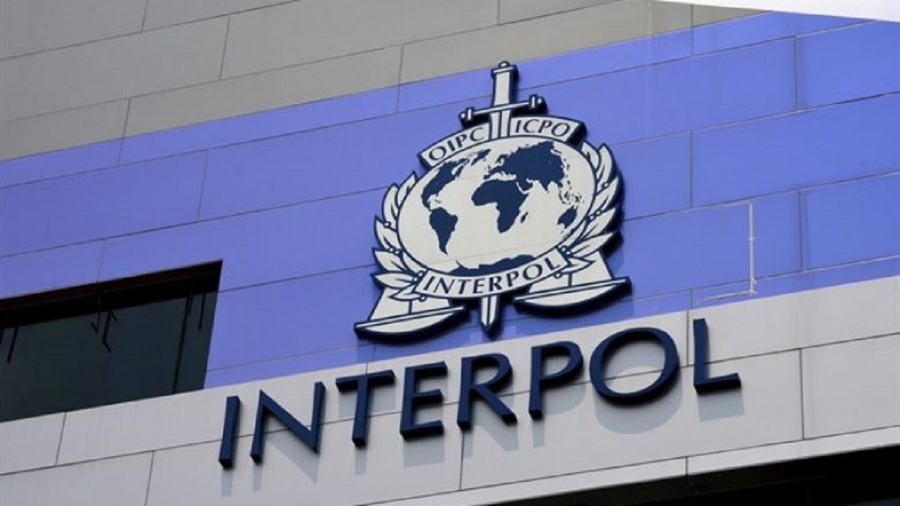 Të shpallur në kërkim për falsifikim, vjedhje dhe grup i strukturuar kriminal/ Ekstradohen drejt Shqipërisë 3 persona nga Zvicra dhe Italia