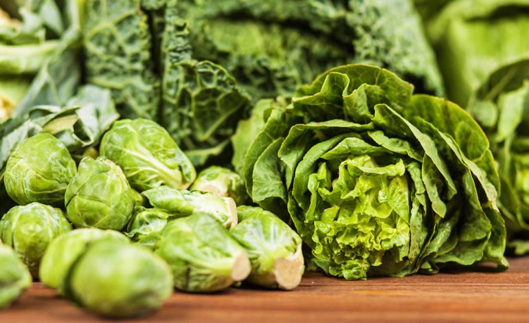 Më Shumë Oksigjen në Organizëm? Zgjidhjet Natyrale