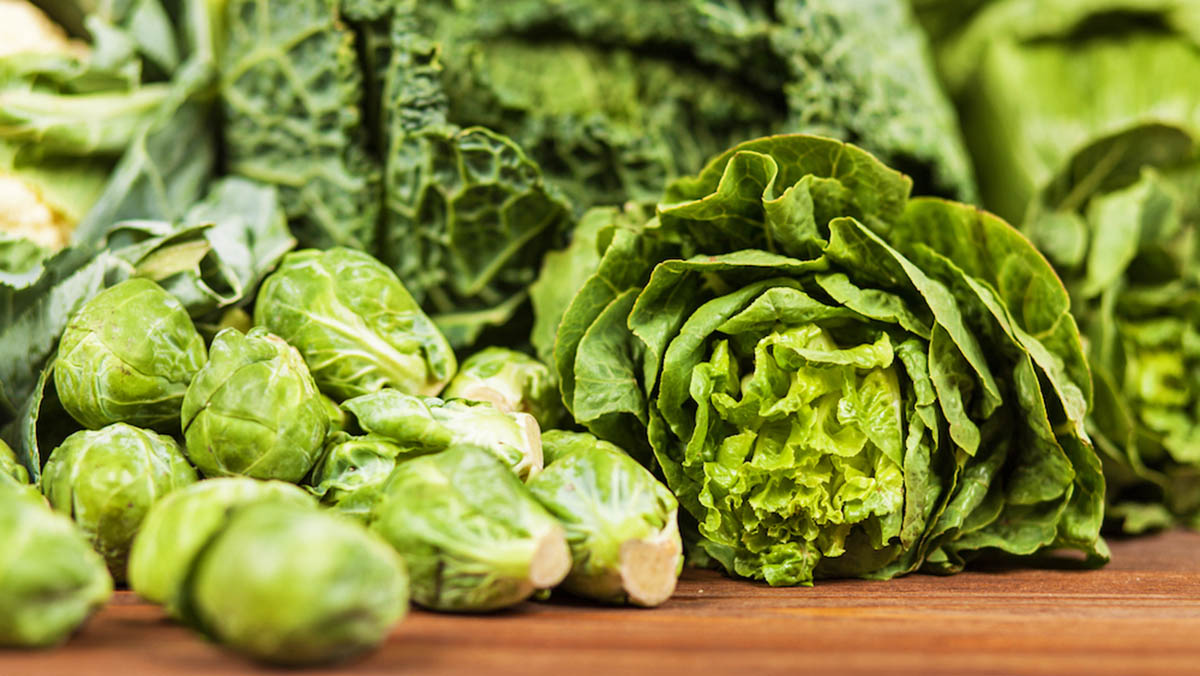 Më Shumë Oksigjen në Organizëm? Zgjidhjet Natyrale