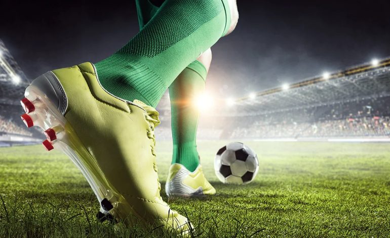 Ylli argjentinas kërcënohet me jetë