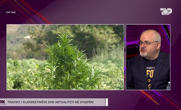 “Zona problematike është Shkodra”, gazetari Artan Hoxha për kultivimin e kanabisit: Fuqia punëtore po ikën në Spanjë! Ata që dënohen…