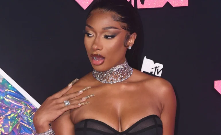 Punonjësi padit Megan Thee Stallion: Më ofendoi & bëri se*s para syve të mi