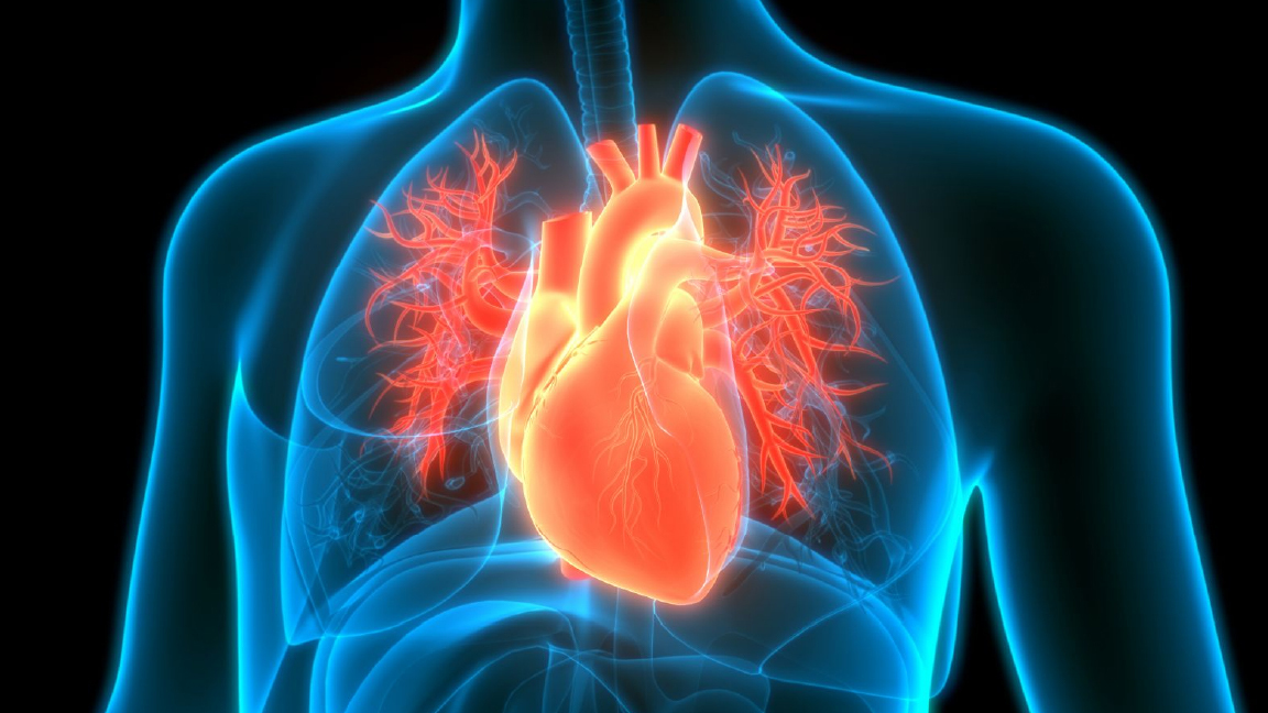 Fruti që Ul Rrezikun e Sulmit në Zemër – Sasia që Duhet të Konsumoni