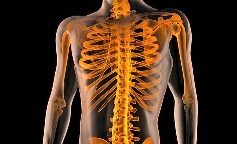 Shenjat që Tregojnë se Trupit i Duhet të Pushojë dhe Çlodhet