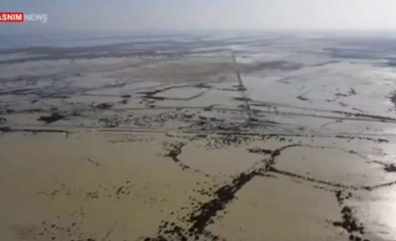 Stuhitë dhe përmbytjet në Iran, autoritetet paralajmërojnë rrezikun e krokodilëve! Po enden lirshëm nëpër rrugë