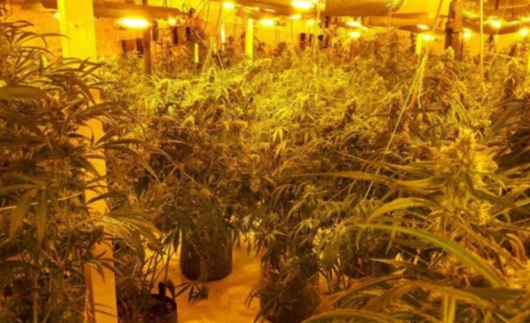 “Më kërcënoi gangsteri që arrestova në Shqipëri”, ish-polici i Sarandës dënohet me 2 vite burg në Britani pasi u kap në shtëpi bari me vlerë 850 mijë paund