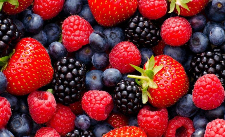 Zbuloni të Gjitha Sëmundjet që Luftojnë Frutat e Pyllit