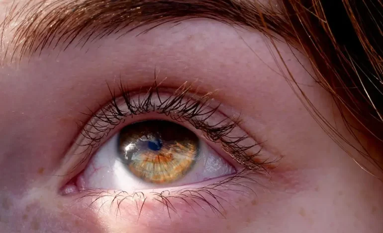 A Mund të Shfaqen Shenjat e Para të Alzheimerit në Sytë Tuaj?