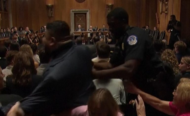 Protestuesit pro-palestinezë bëjnë “kërdinë”, ndërpresin fjalën e Blinkenit në Kongeres