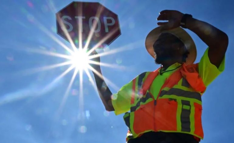 Pemët e lashta zbulojnë një pasqyrë të re alarmante në botën tonë të ngrohjes globale, shkencëtari: Kam frikë për fëmijët…