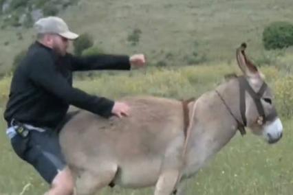U paralajmërua por s’dëgjoi, Buçko rrëzohet nga gomari
